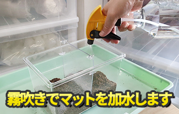 専門店厳選】はじめてでも簡単・安心！ カブトムシ・クワガタ飼育 7点
