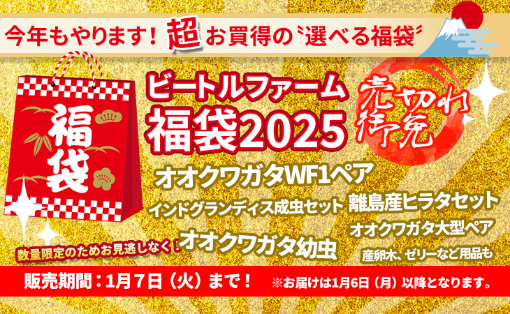 福袋2025　バナー