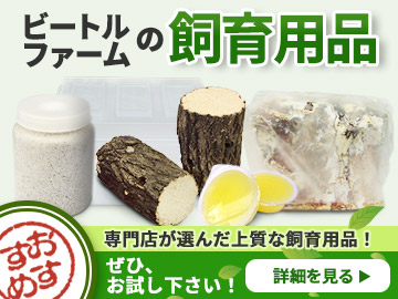 ビートルファームの飼育用品　販売　通販　専門店　購入
