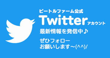 ビートルファームTwitterアカウント