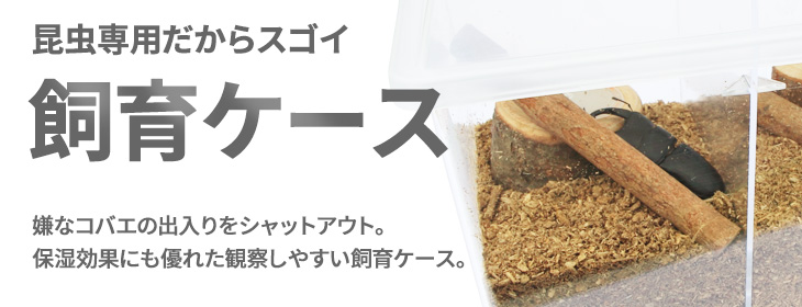 カブトムシ・クワガタムシ専用の飼育ケース　コバエシャッター　販売・通販・ネット通販・ショップ・専門店・販売店・購入