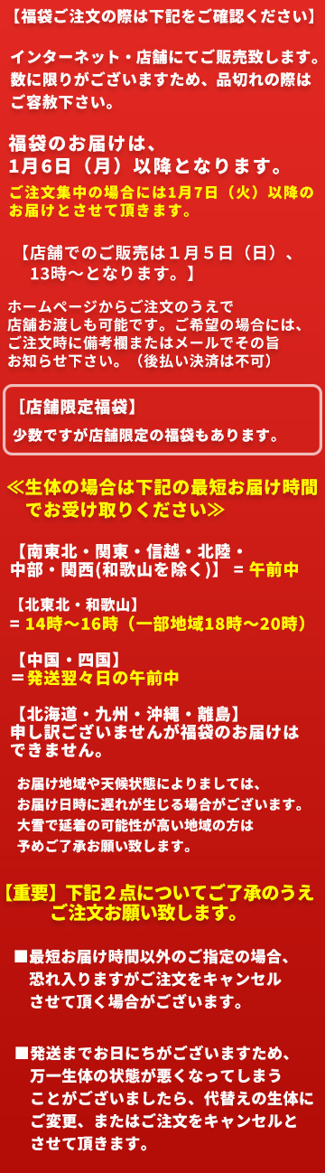 福袋2025　バナー