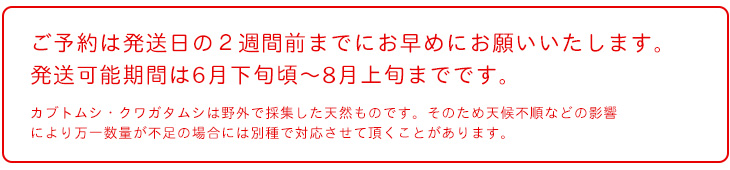 イベント用カブトムシ予約の注意事項