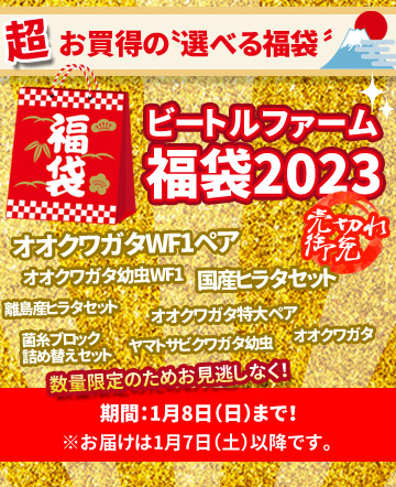 ビートルファームの福袋2023