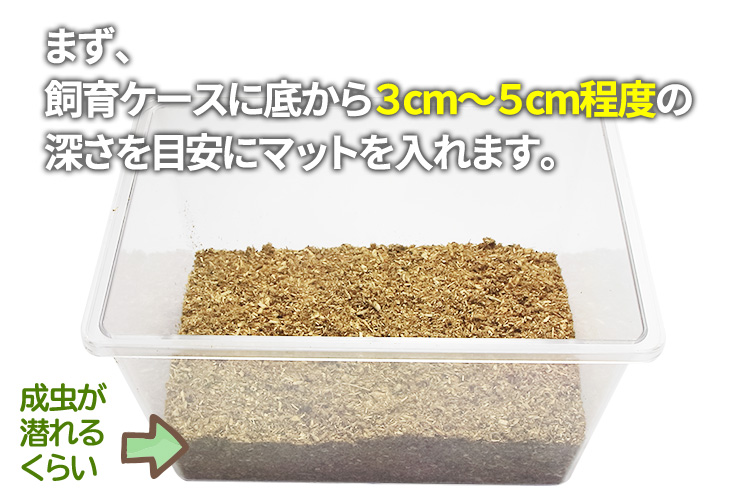 成虫管理用マットの使い方