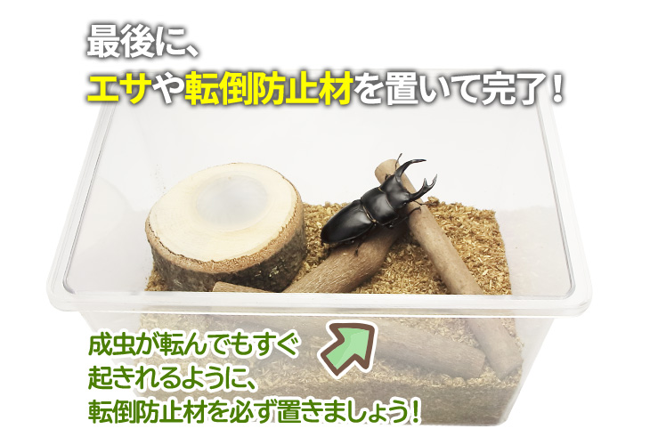 成虫管理用マットの使い方