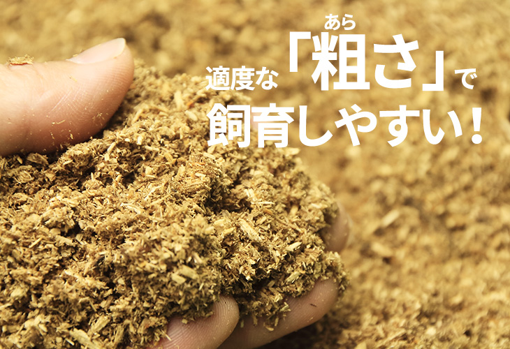 成虫管理用マットは適度な粗さで飼育しやすい！