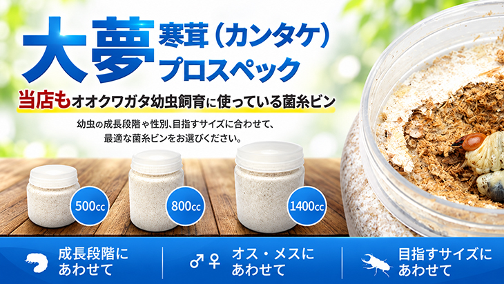 大夢プロスペック・カンタケ｜ビートルファームもオオクワガタ幼虫飼育に使用している菌糸ビン