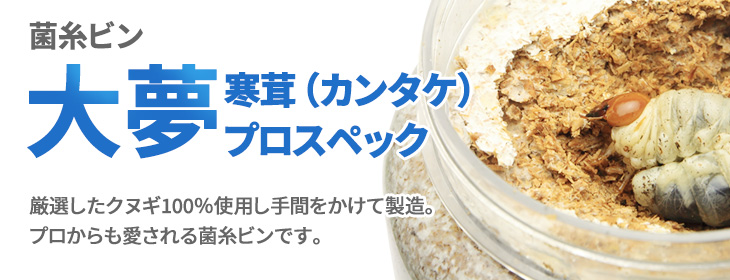 菌糸ビン 大夢Bプロスペック 販売 ビートルファーム
