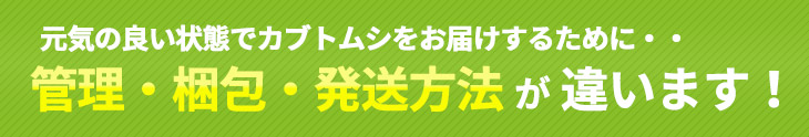 ビートルファームはカブトムシの管理・梱包・発送方法が違います！