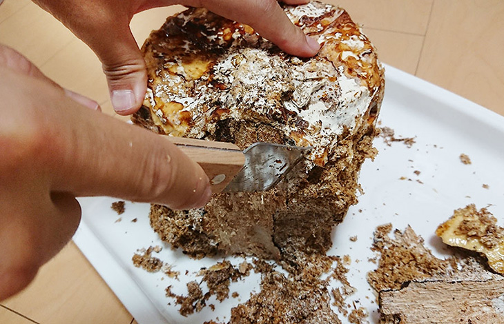 人工カワラ材の樹皮を取り除く