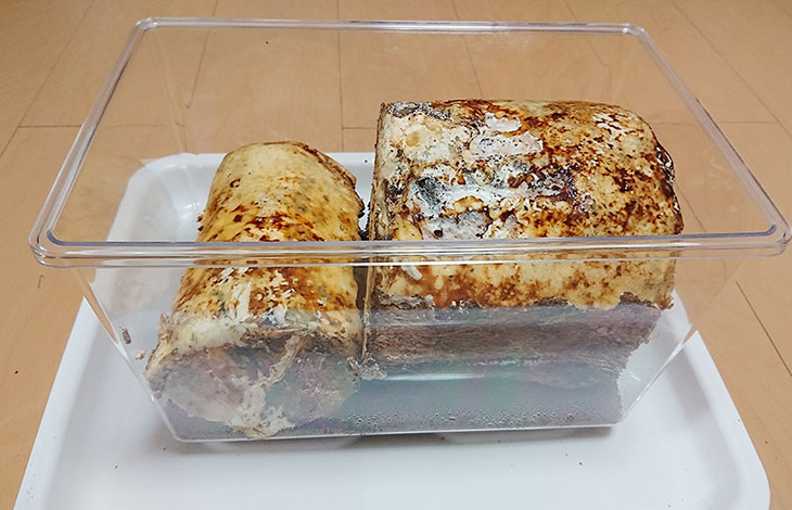人工カワラ材は並べて置く