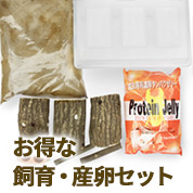 クワガタ・カブトムシ飼育・産卵セット　販売　通販　専門店　購入