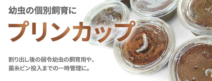 プリンカップ　販売・通販・ネット通販・ショップ・専門店・販売店・購入