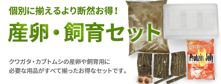 オオクワガタ・クワガタ・カブトムシの産卵・飼育セットの販売・通販・ネット通販・ショップ・専門店・販売店・購入