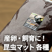 カブトムシ・クワガタムシ用昆虫マット　販売　通販　専門店　購入