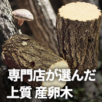 クヌギ産卵木・人工カワラ材　販売　通販　専門店　購入