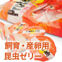 昆虫ゼリー　販売　通販　専門店　購入