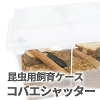 カブトムシ・クワガタムシ用飼育ケース　コバエシャッター　販売　通販　専門店　購入
