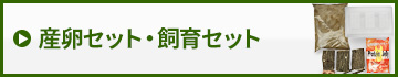 産卵セット・飼育セット　販売　通販