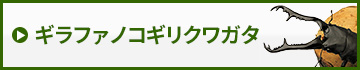 ギラファノコギリクワガタ　販売　通販