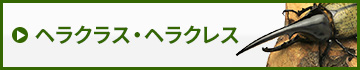 ヘラクレス・ヘラクレス　販売　通販