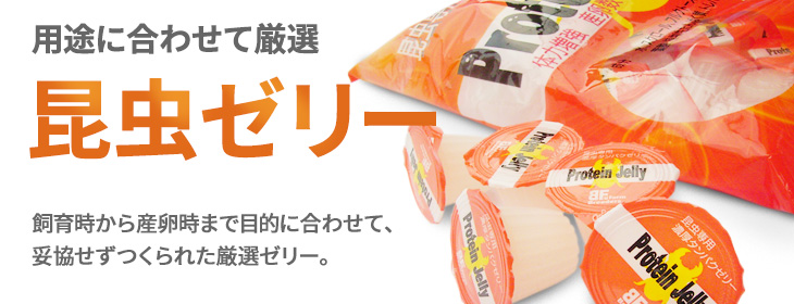 クワガタムシ・カブトムシ用の昆虫ゼリーの販売・通販・ネット通販・ショップ・専門店・販売店・購入